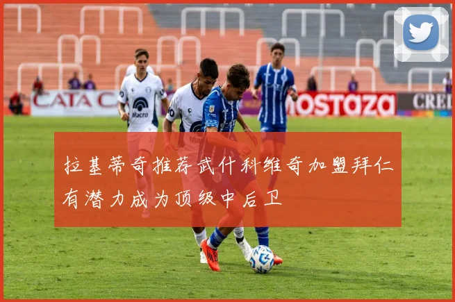 拉基蒂奇推荐武什科维奇加盟拜仁有潜力成为顶级中后卫